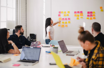 Working professionals in a meeting